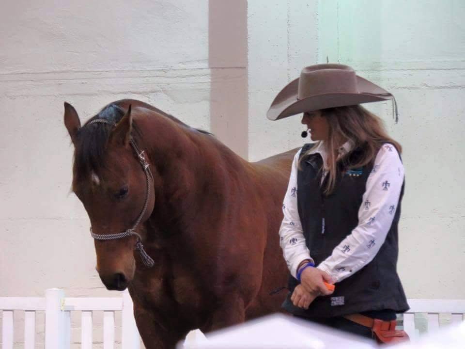 Teaching Stillness: When a Horse Learns to Rest