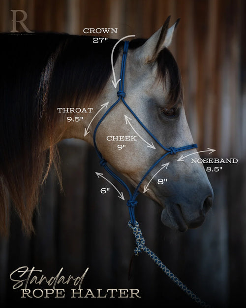 HayChix Redemption Rope Halter + Lead Rope Set